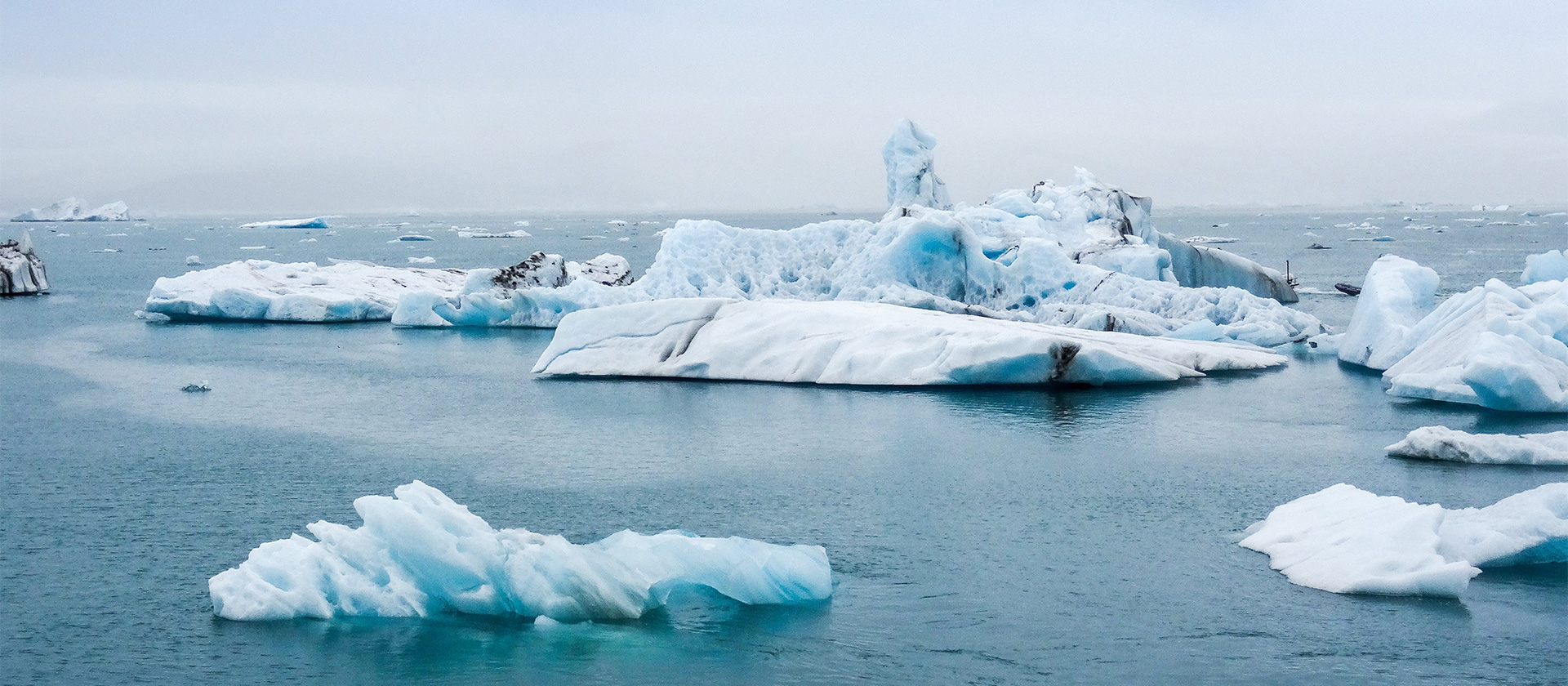 SÜRDÜRÜLEBİLİRLİK VE İKLİM DANIŞMANLIĞI